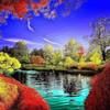 williamphan7